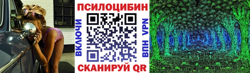Купить закладки  Фокино  Псилоцибиновые грибы Cubensis 