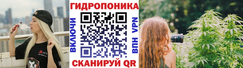 Купить где  Фокино  Канабис VHQ 